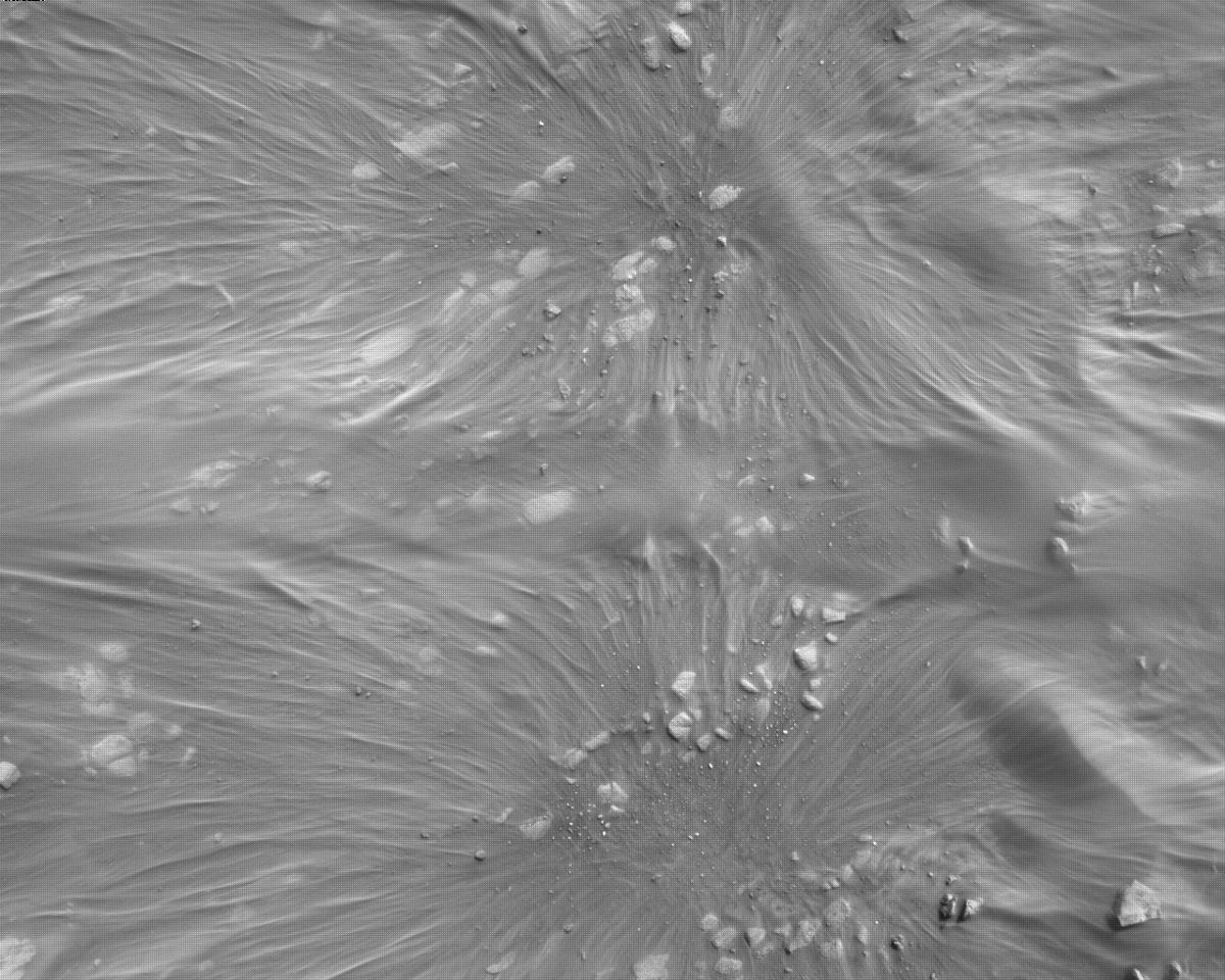 This image was taken by EDL_RDCAM onboard NASA's Mars rover Perseverance on Sol 300