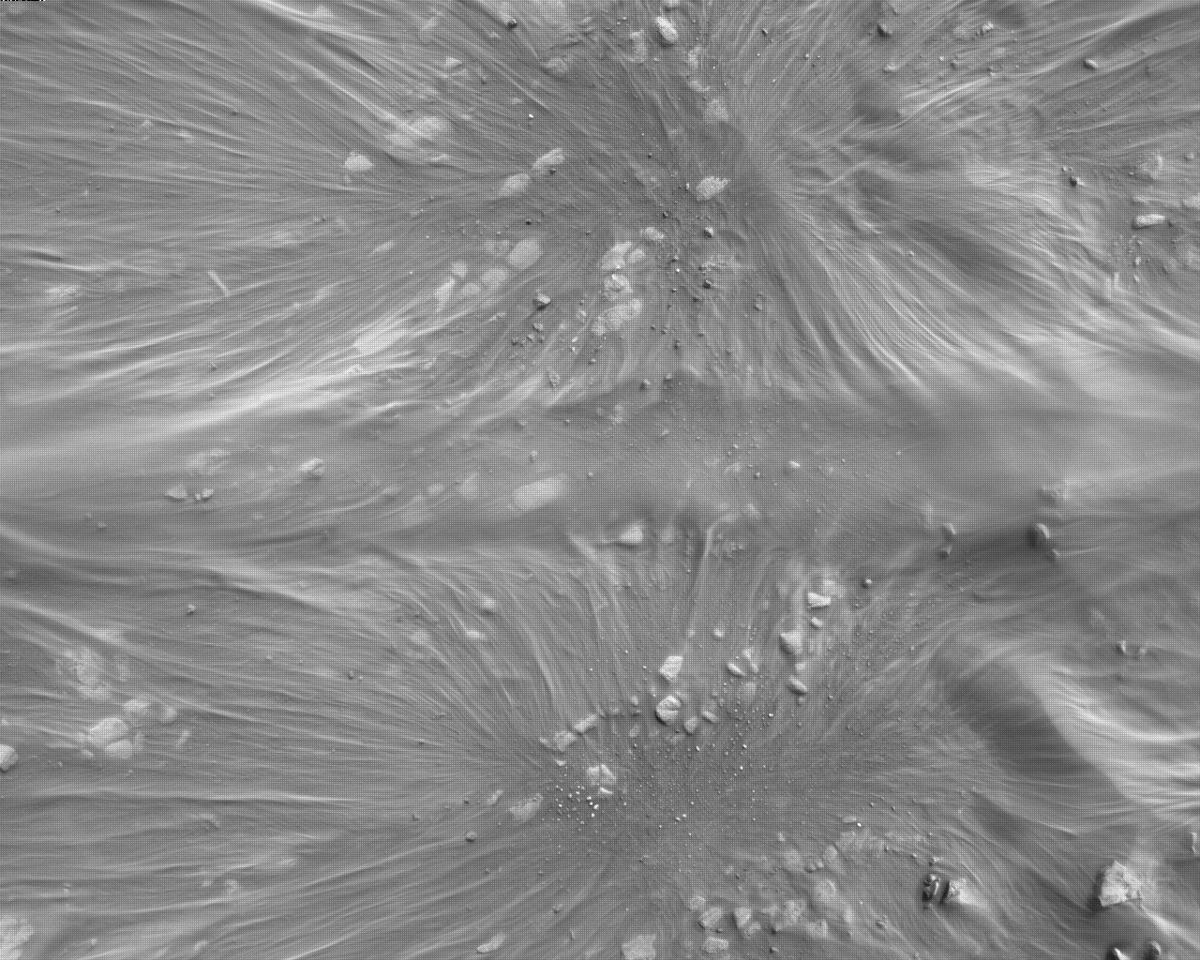 This image was taken by EDL_RDCAM onboard NASA's Mars rover Perseverance on Sol 300