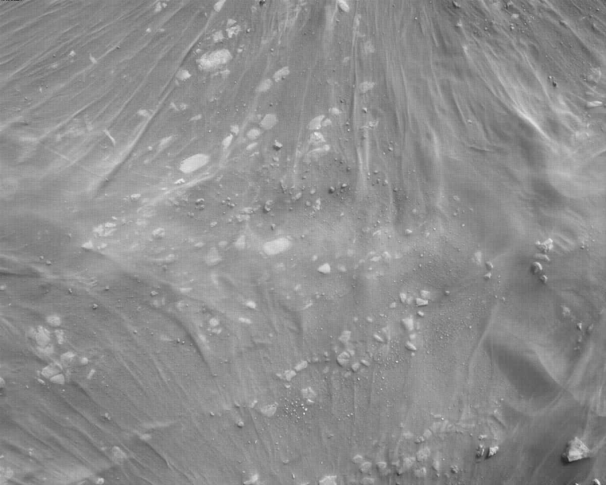 This image was taken by EDL_RDCAM onboard NASA's Mars rover Perseverance on Sol 300