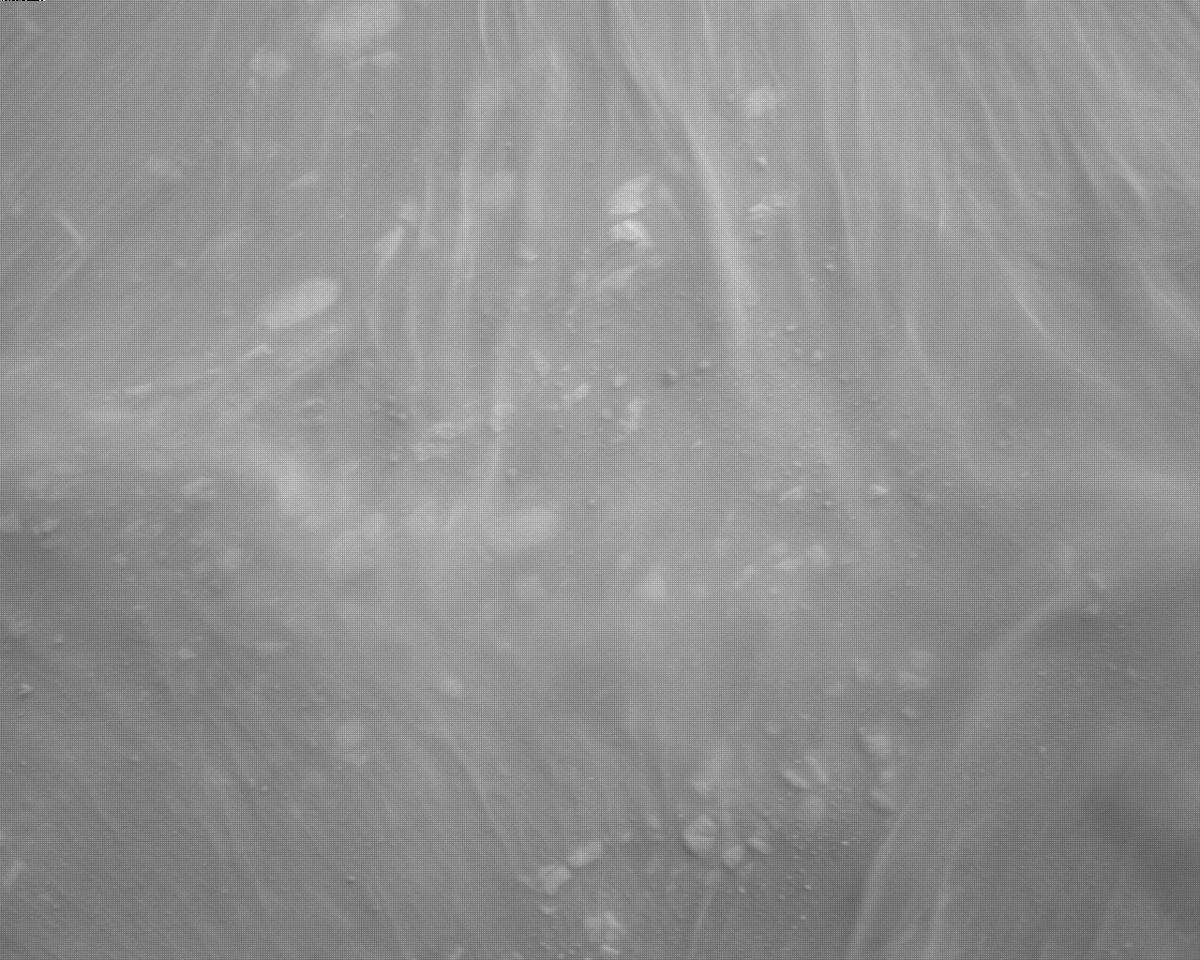 This image was taken by EDL_RDCAM onboard NASA's Mars rover Perseverance on Sol 300