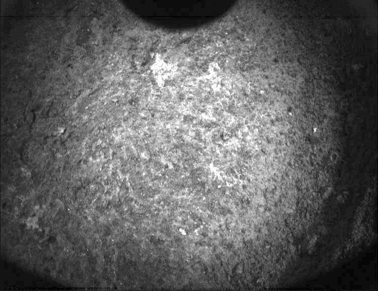 This image was taken by PIXL_MCC onboard NASA's Mars rover Perseverance on Sol 300
