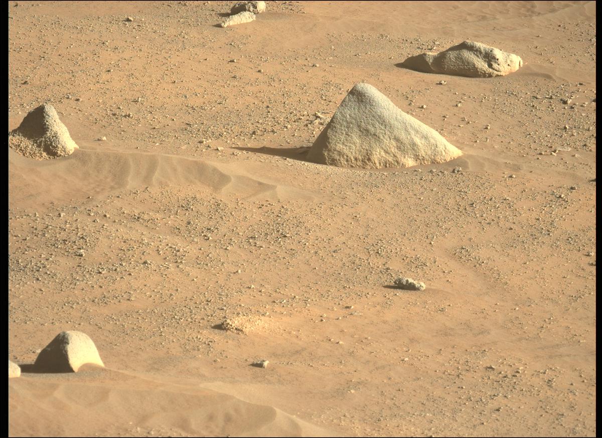 This image was taken by MCZ_LEFT onboard NASA's Mars rover Perseverance on Sol 300