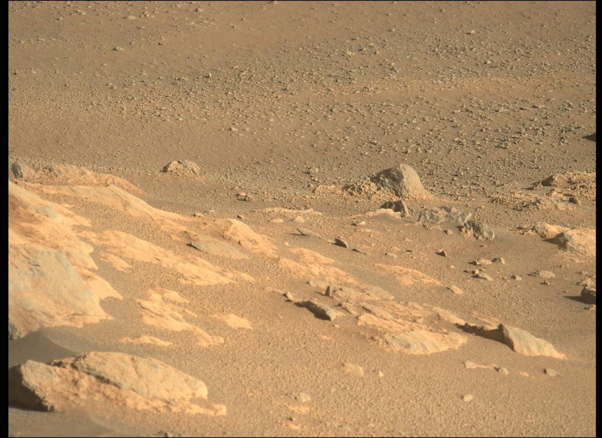 This image was taken by MCZ_LEFT onboard NASA's Mars rover Perseverance on Sol 300