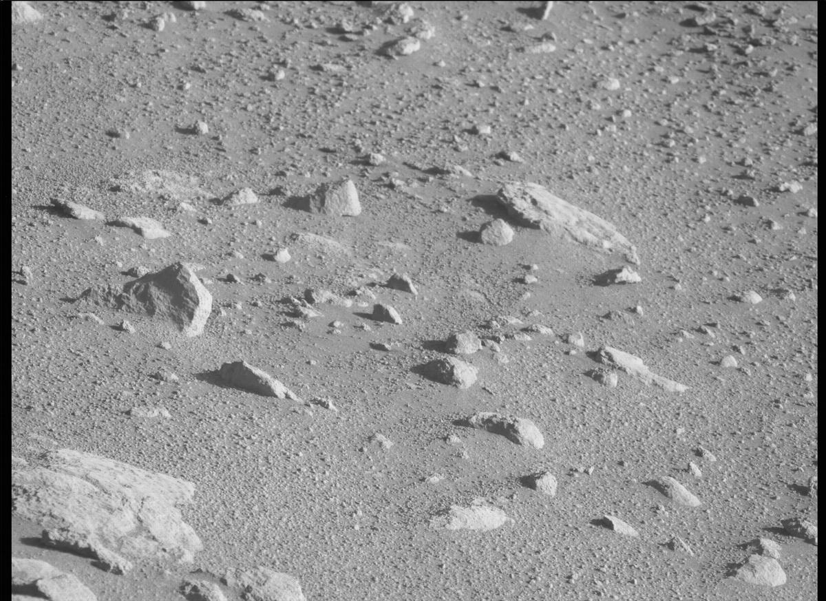 This image was taken by MCZ_LEFT onboard NASA's Mars rover Perseverance on Sol 300