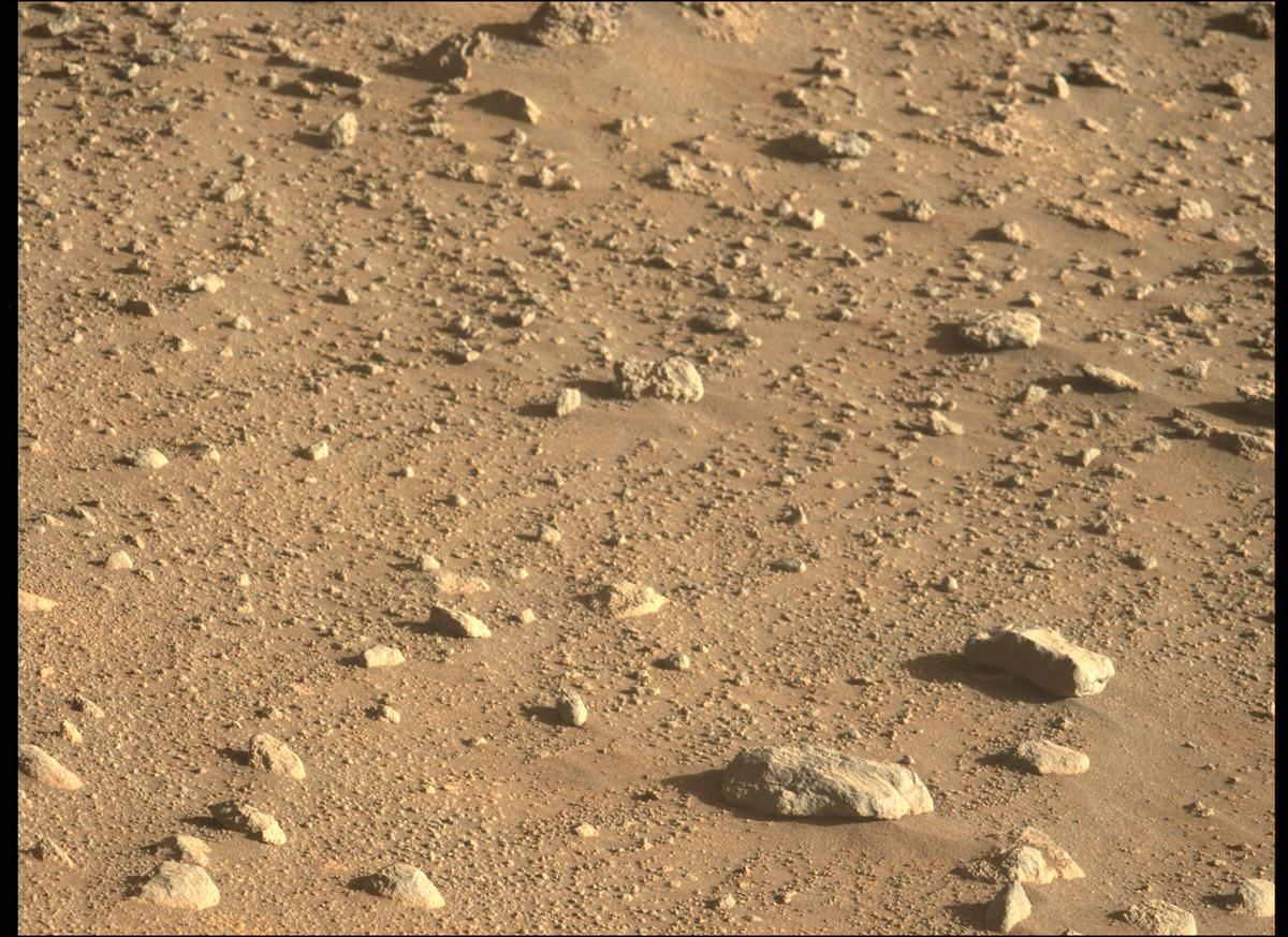This image was taken by MCZ_LEFT onboard NASA's Mars rover Perseverance on Sol 300