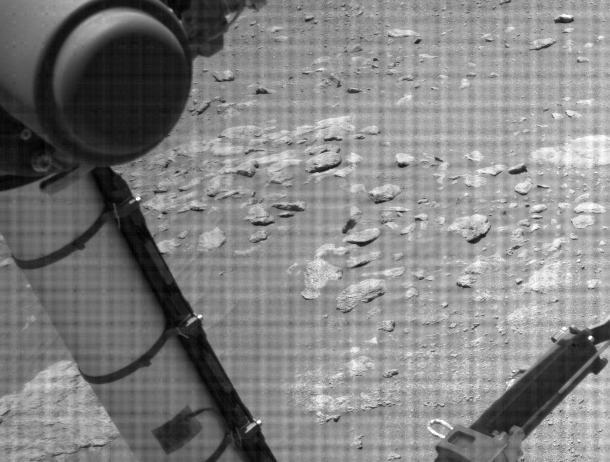 This image was taken by NAVCAM_LEFT onboard NASA's Mars rover Perseverance on Sol 303