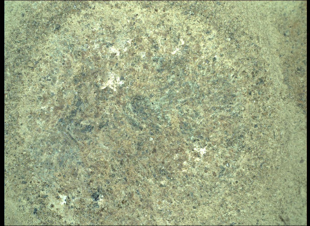 This image was taken by SHERLOC_WATSON onboard NASA's Mars rover Perseverance on Sol 303