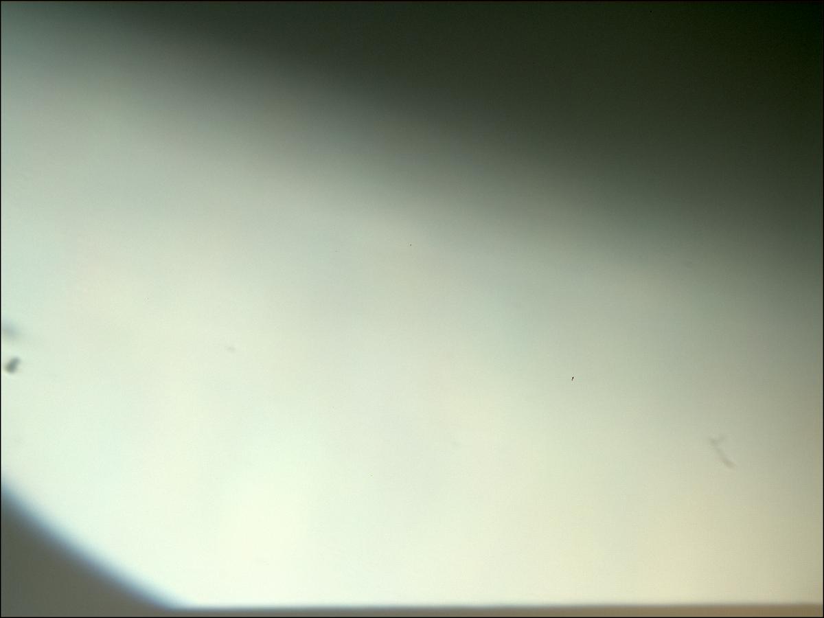This image was taken by MCZ_RIGHT onboard NASA's Mars rover Perseverance on Sol 303