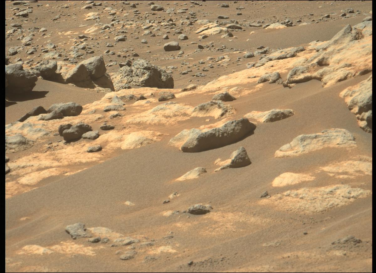 This image was taken by MCZ_LEFT onboard NASA's Mars rover Perseverance on Sol 306