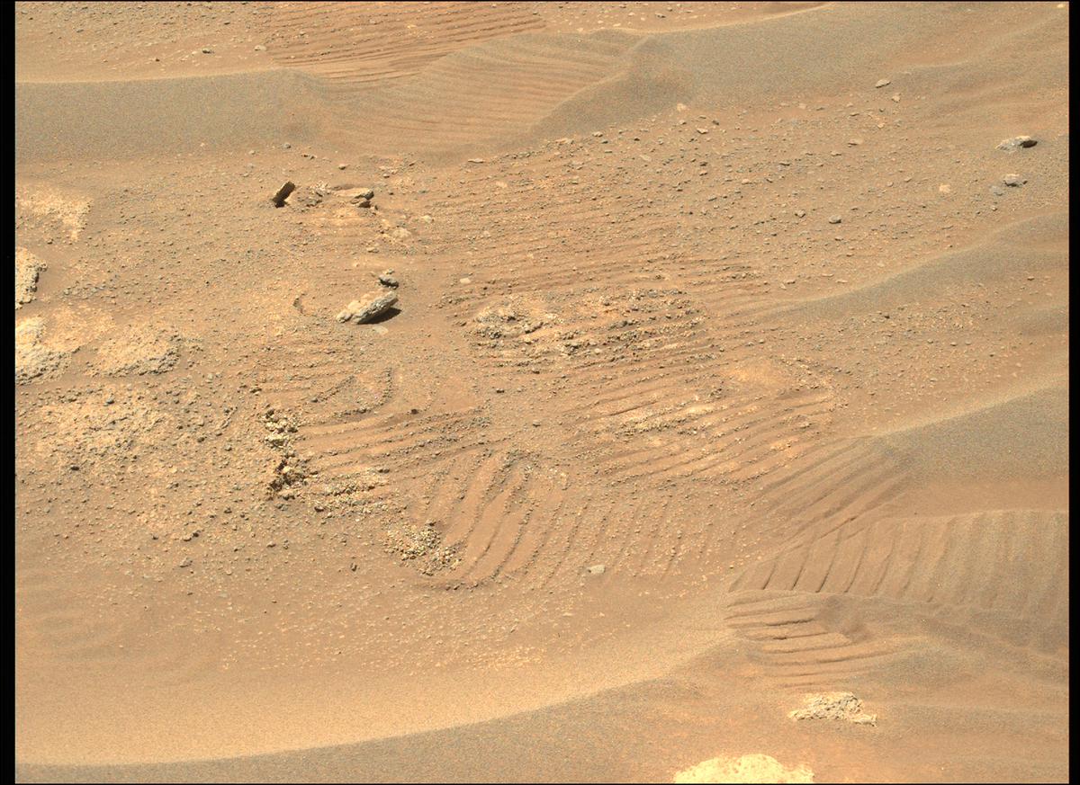 This image was taken by MCZ_LEFT onboard NASA's Mars rover Perseverance on Sol 308