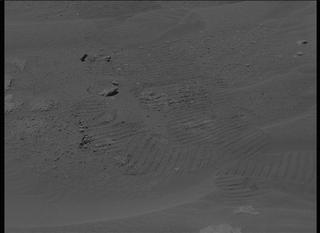View image taken on Mars, Mars Perseverance Sol 308: Left Mastcam-Z Camera