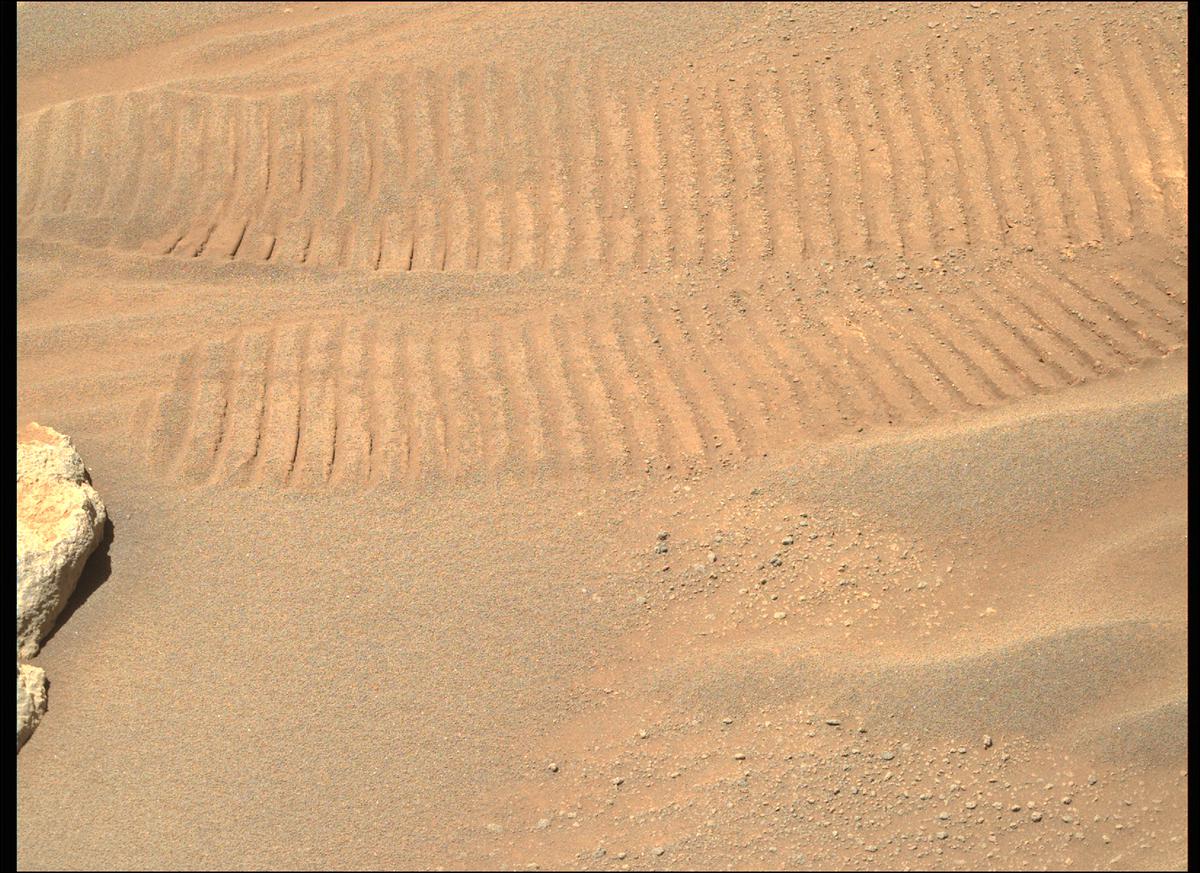 This image was taken by MCZ_RIGHT onboard NASA's Mars rover Perseverance on Sol 308
