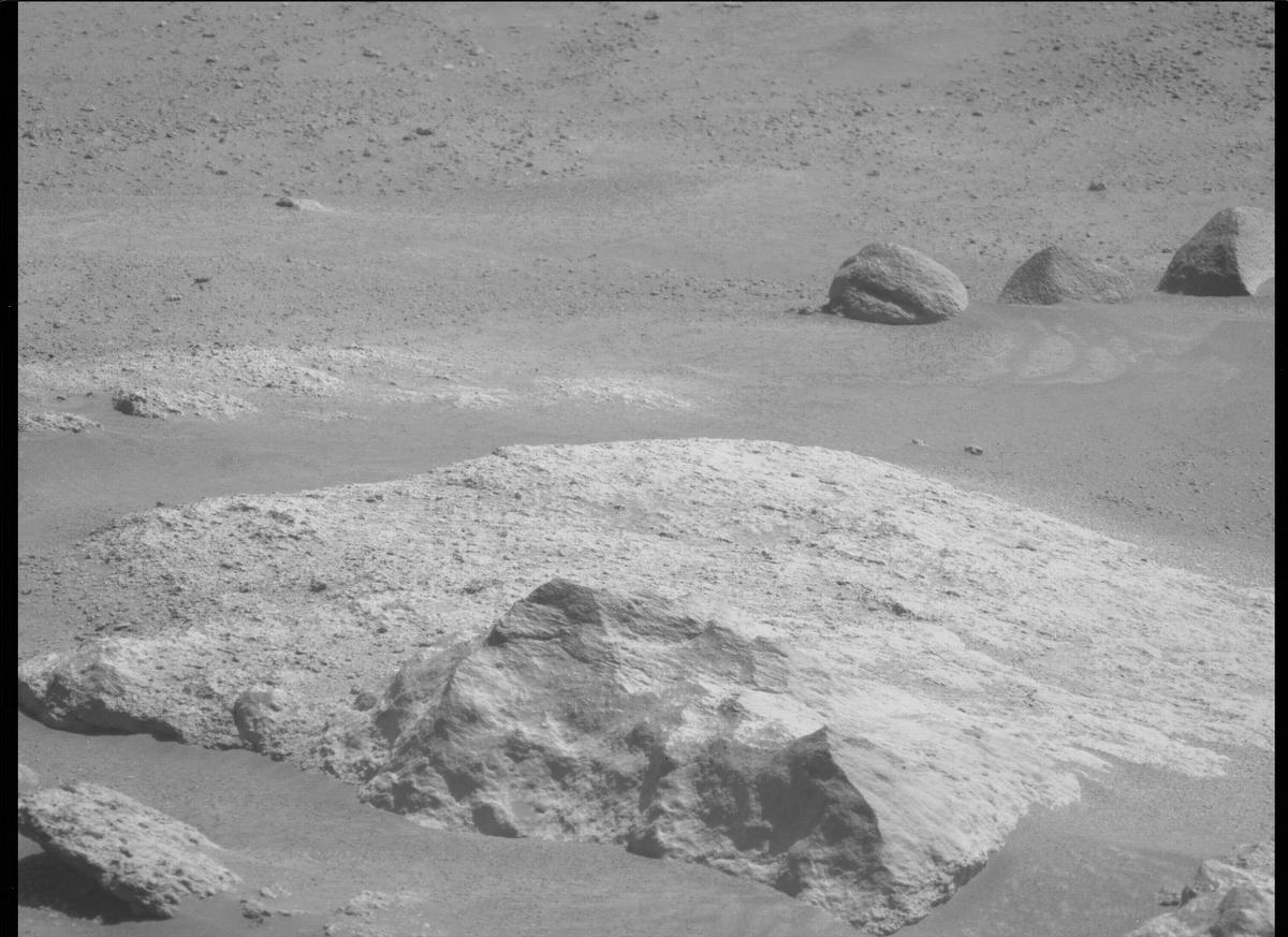 This image was taken by MCZ_LEFT onboard NASA's Mars rover Perseverance on Sol 309