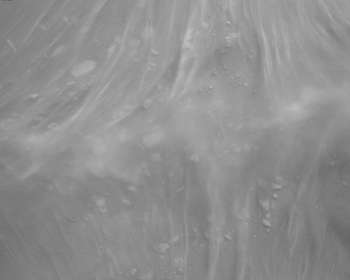 This image was taken by EDL_RDCAM onboard NASA's Mars rover Perseverance on Sol 311