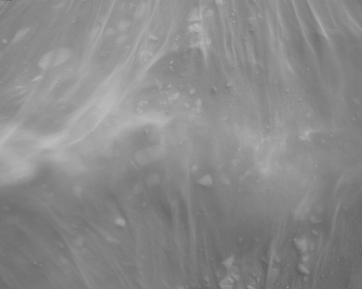 This image was taken by EDL_RDCAM onboard NASA's Mars rover Perseverance on Sol 311