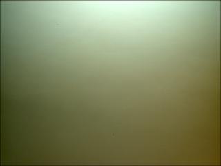View image taken on Mars, Mars Perseverance Sol 311: Left Mastcam-Z Camera