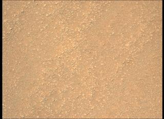View image taken on Mars, Mars Perseverance Sol 312: Left Mastcam-Z Camera