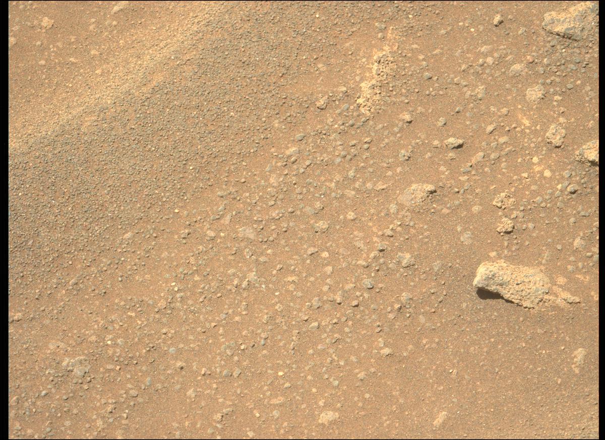 This image was taken by MCZ_LEFT onboard NASA's Mars rover Perseverance on Sol 312