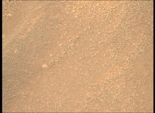 View image taken on Mars, Mars Perseverance Sol 312: Right Mastcam-Z Camera