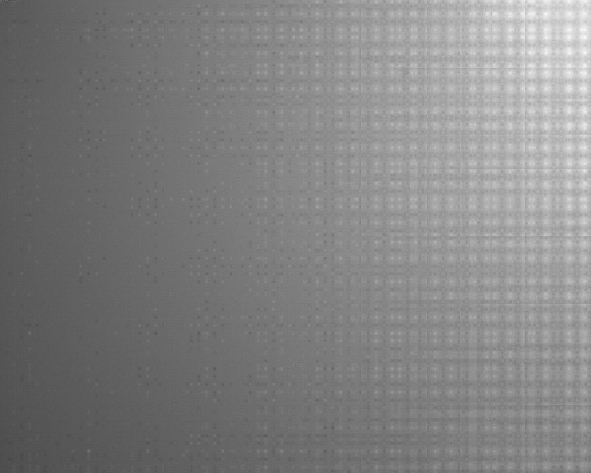 This image was taken by EDL_RUCAM onboard NASA's Mars rover Perseverance on Sol 313