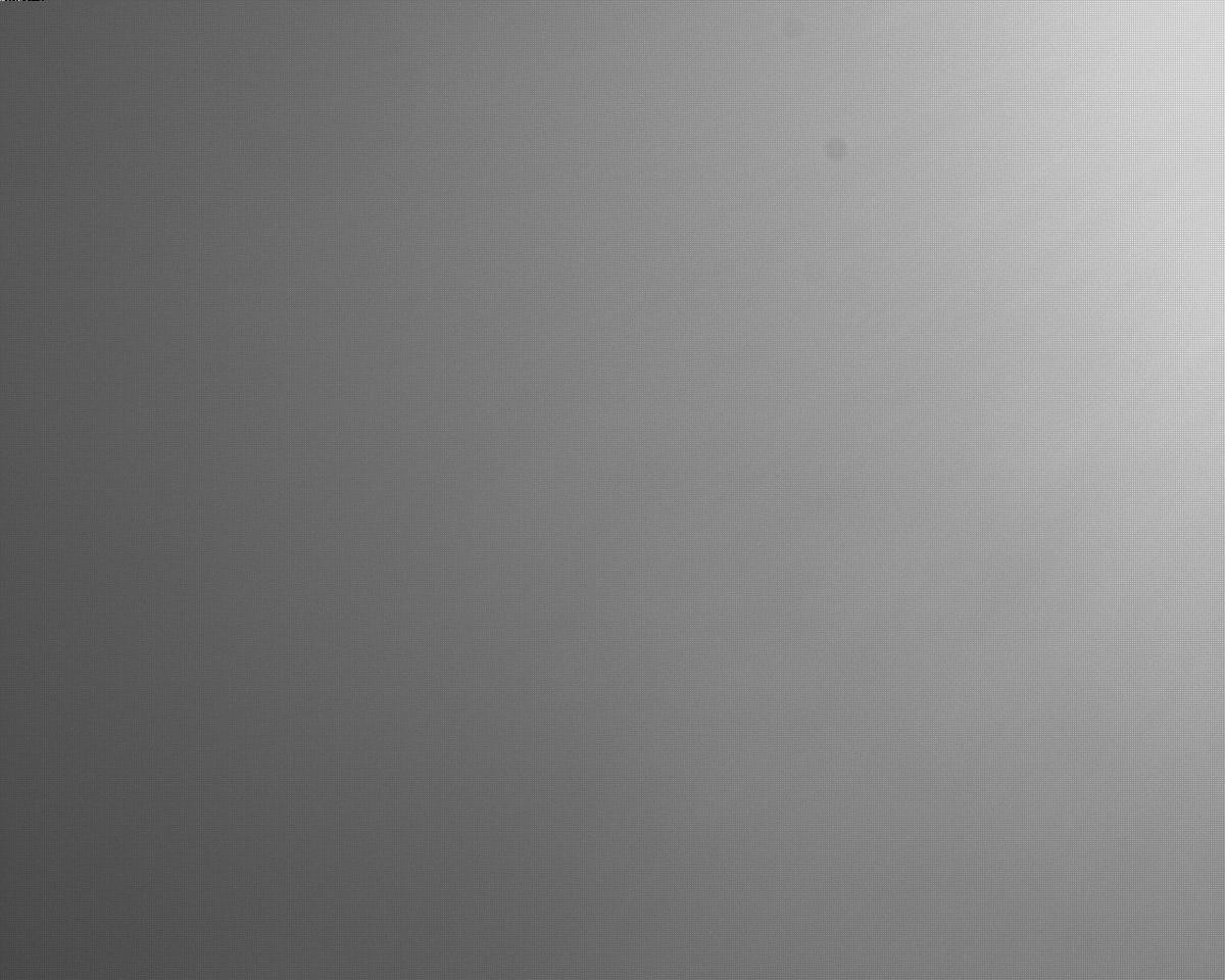 This image was taken by EDL_RUCAM onboard NASA's Mars rover Perseverance on Sol 313