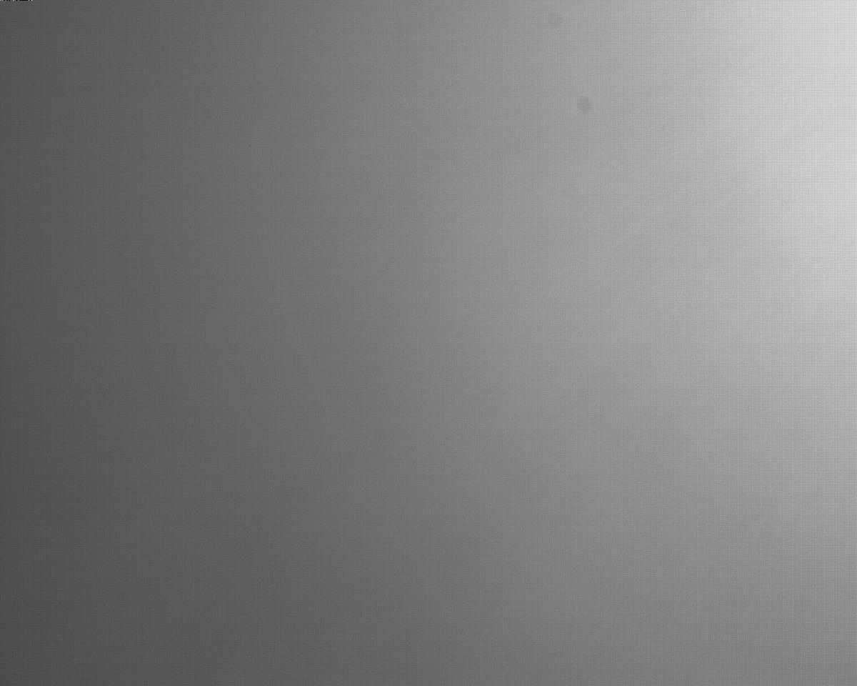 This image was taken by EDL_RUCAM onboard NASA's Mars rover Perseverance on Sol 313