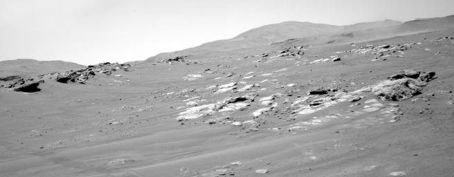 This image was taken by NAVCAM_LEFT onboard NASA's Mars rover Perseverance on Sol 313
