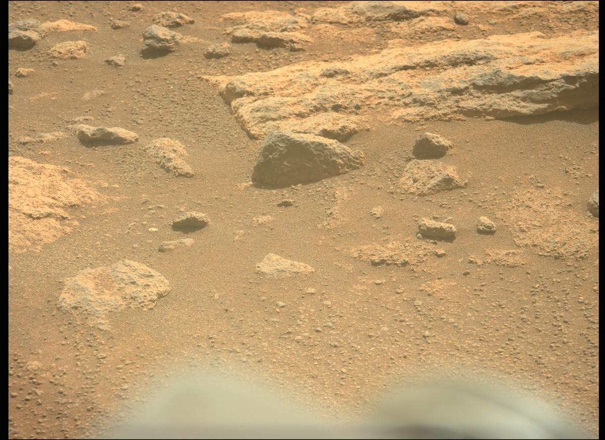This image was taken by MCZ_LEFT onboard NASA's Mars rover Perseverance on Sol 313
