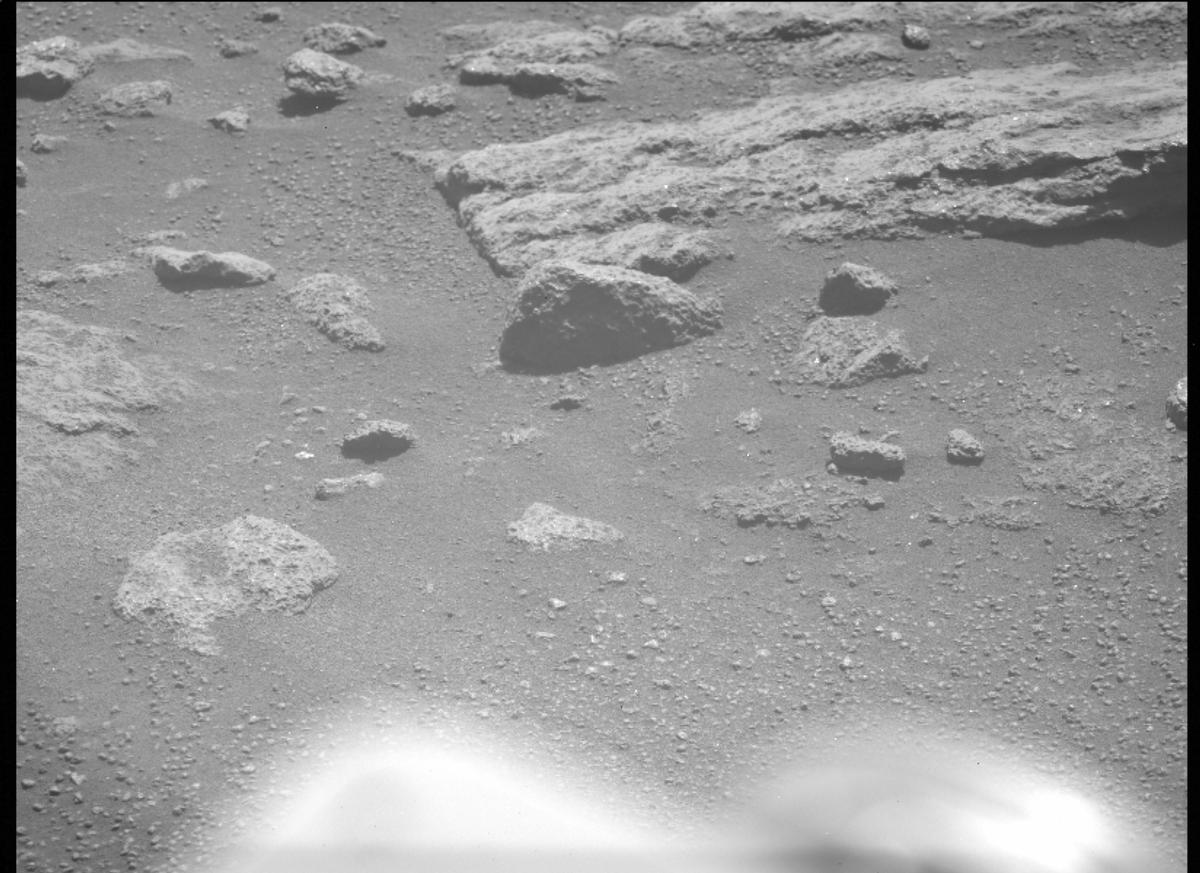 This image was taken by MCZ_LEFT onboard NASA's Mars rover Perseverance on Sol 313