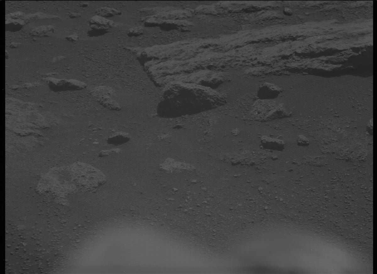 This image was taken by MCZ_LEFT onboard NASA's Mars rover Perseverance on Sol 313