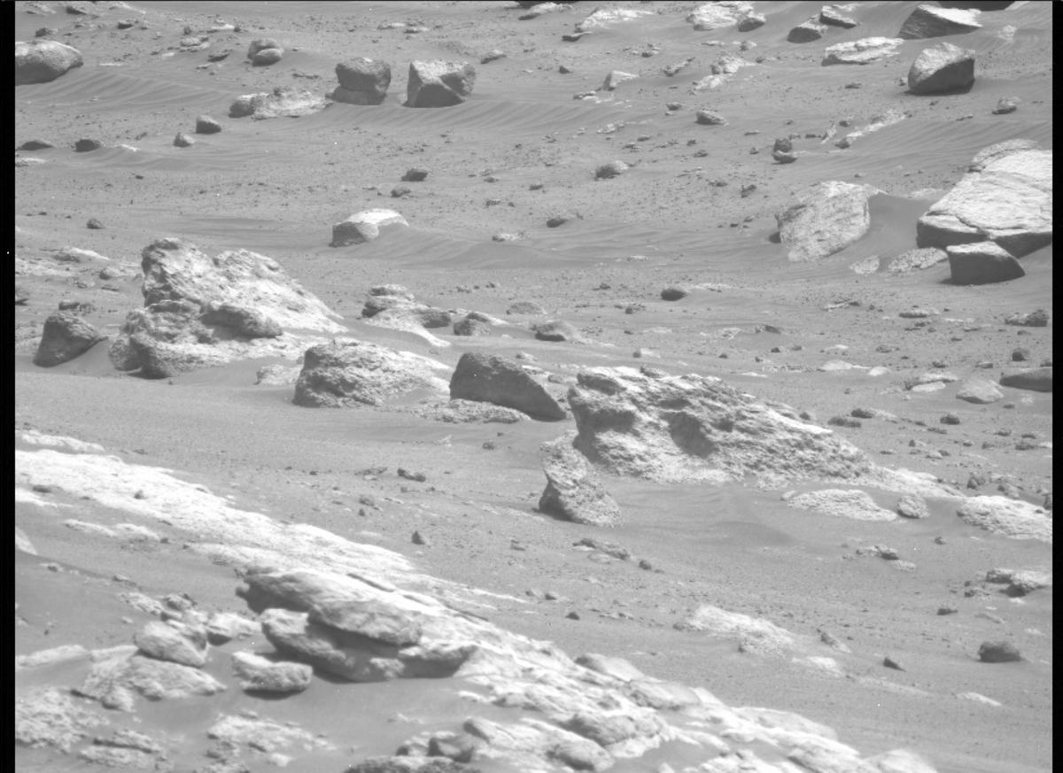 This image was taken by MCZ_LEFT onboard NASA's Mars rover Perseverance on Sol 314