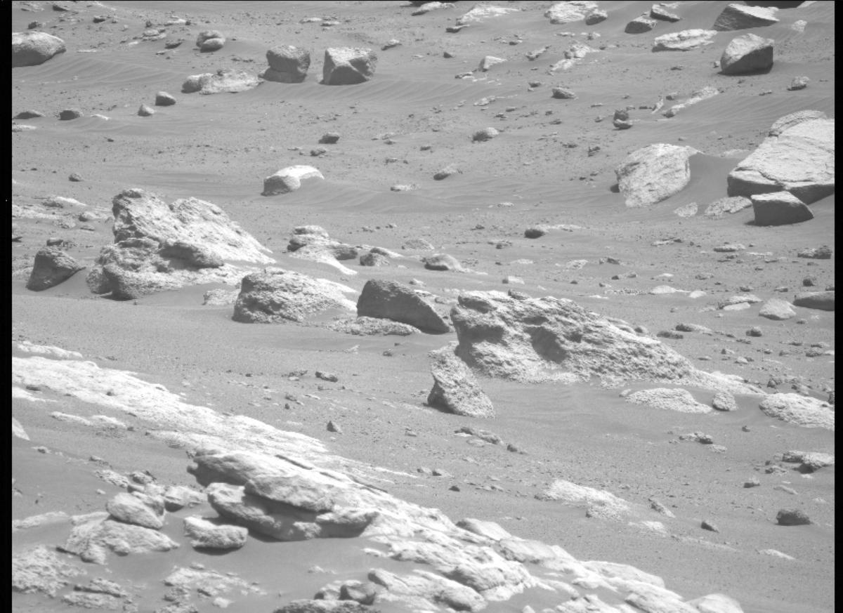 This image was taken by MCZ_LEFT onboard NASA's Mars rover Perseverance on Sol 314