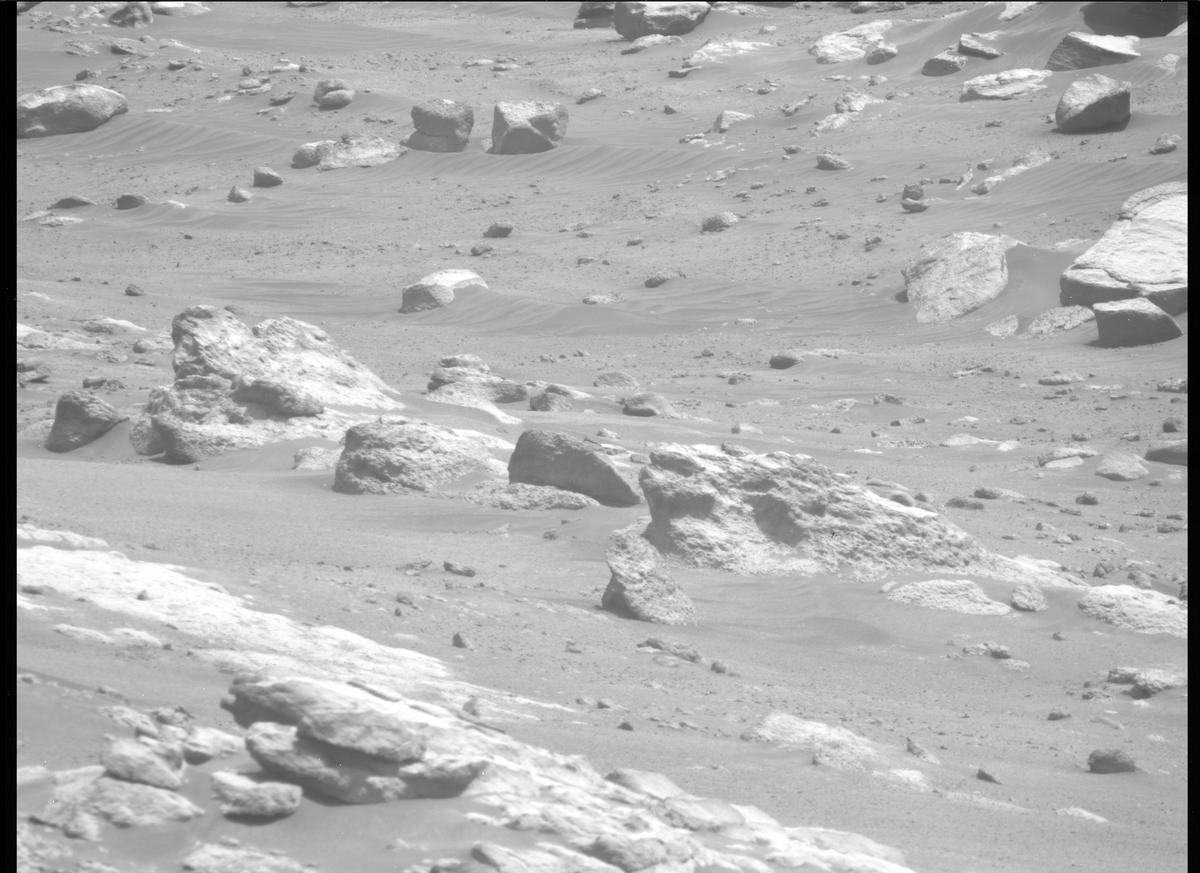 This image was taken by MCZ_RIGHT onboard NASA's Mars rover Perseverance on Sol 314