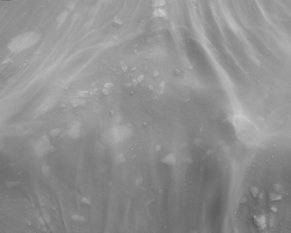 This image was taken by EDL_RDCAM onboard NASA's Mars rover Perseverance on Sol 315