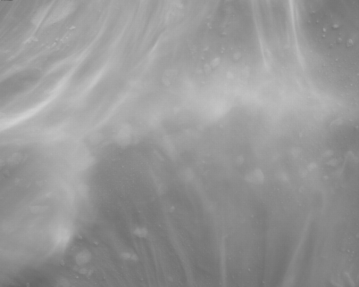 This image was taken by EDL_RDCAM onboard NASA's Mars rover Perseverance on Sol 315