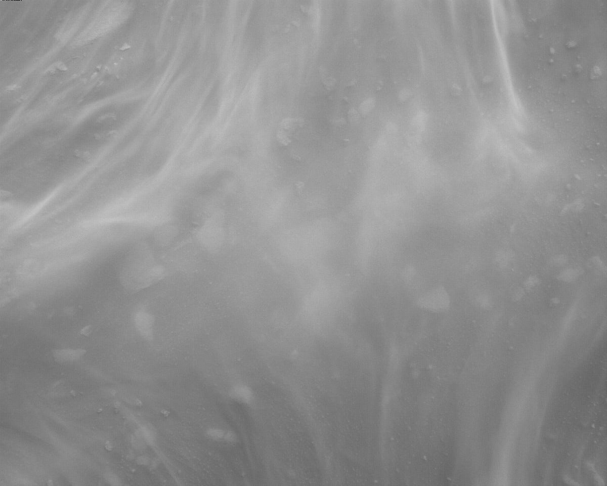 This image was taken by EDL_RDCAM onboard NASA's Mars rover Perseverance on Sol 315