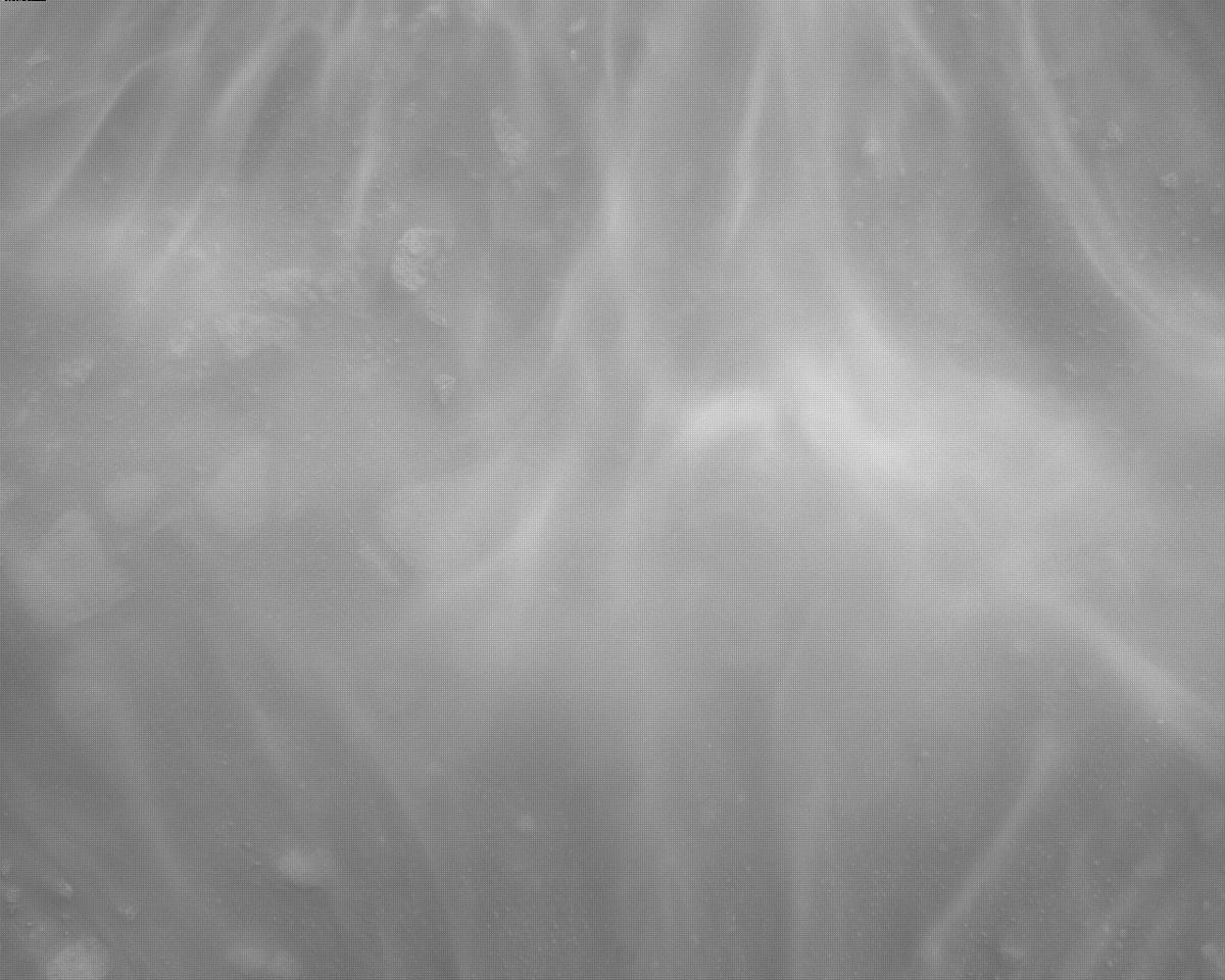 This image was taken by EDL_RDCAM onboard NASA's Mars rover Perseverance on Sol 315