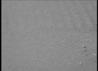 View image taken on Mars, Mars Perseverance Sol 315: Left Mastcam-Z Camera