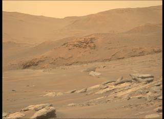 View image taken on Mars, Mars Perseverance Sol 316: Left Mastcam-Z Camera