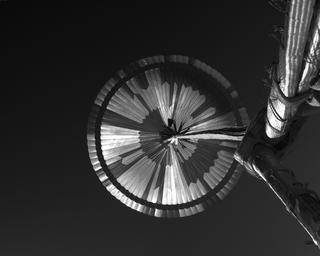 View image taken on Mars, Mars Perseverance Sol 318: Parachute Up-Look Camera B