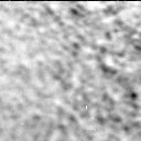 View image taken on Mars, Mars Perseverance Sol 318: Right Mastcam-Z Camera
