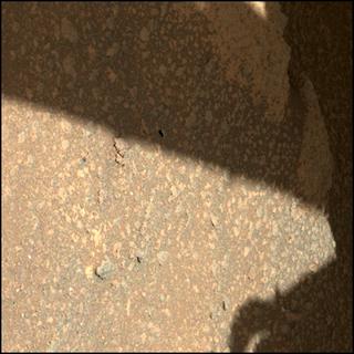 View image taken on Mars, Mars Perseverance Sol 320: WATSON Camera 