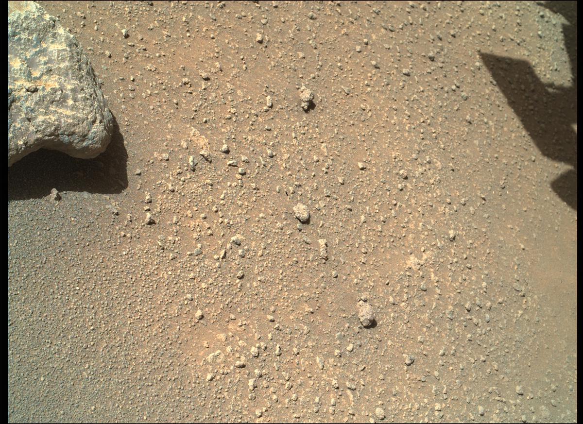 This image was taken by SHERLOC_WATSON onboard NASA's Mars rover Perseverance on Sol 320