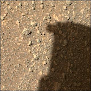 View image taken on Mars, Mars Perseverance Sol 320: WATSON Camera 