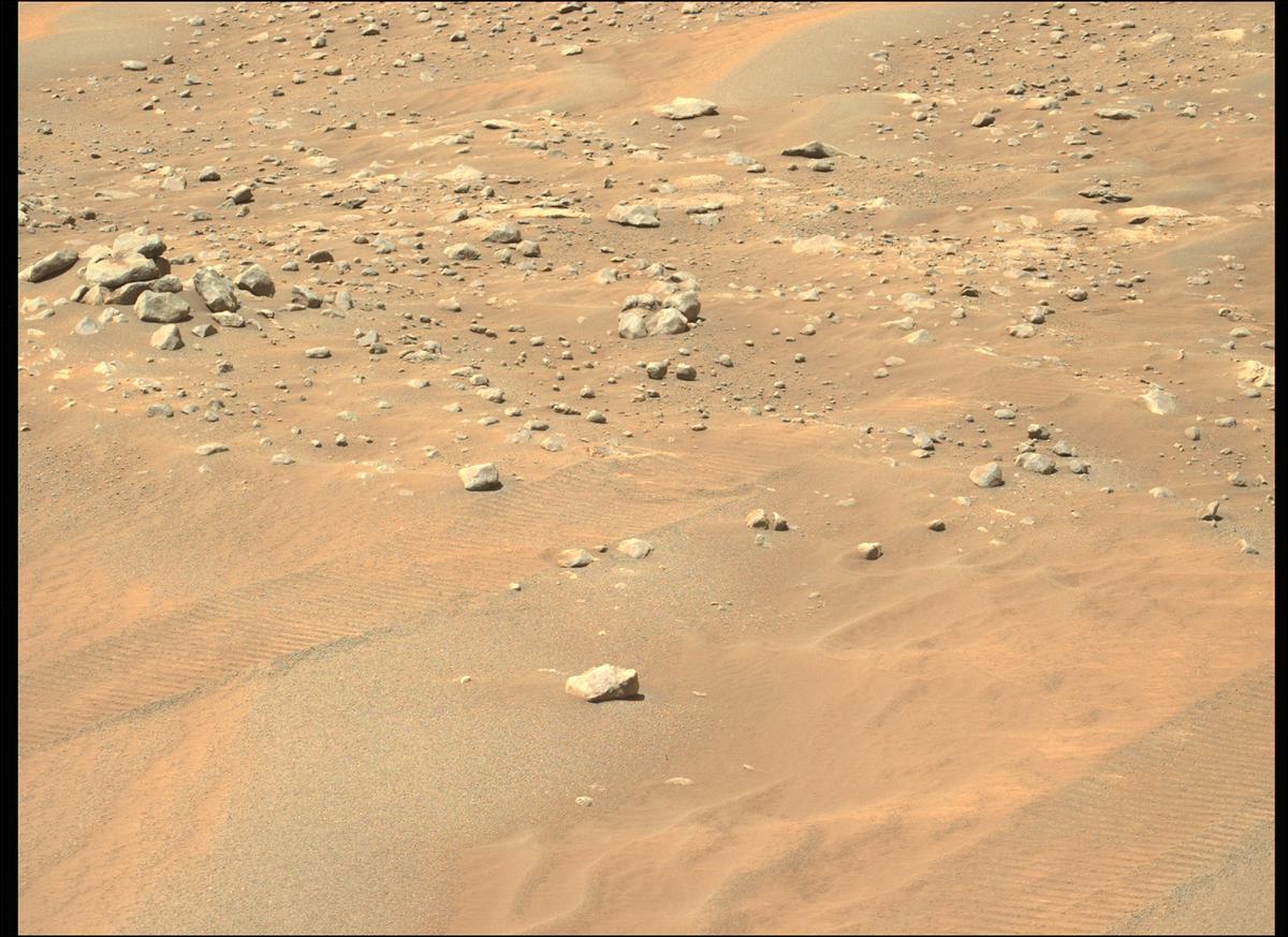 This image was taken by MCZ_LEFT onboard NASA's Mars rover Perseverance on Sol 320
