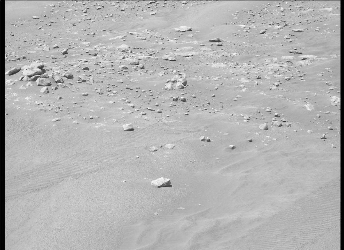 This image was taken by MCZ_LEFT onboard NASA's Mars rover Perseverance on Sol 320