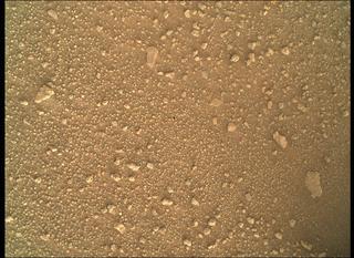 View image taken on Mars, Mars Perseverance Sol 330: WATSON Camera 