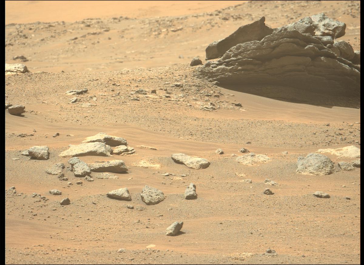 This image was taken by MCZ_LEFT onboard NASA's Mars rover Perseverance on Sol 333