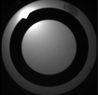 View image taken on Mars, Mars Perseverance Sol 335: SkyCam Camera 