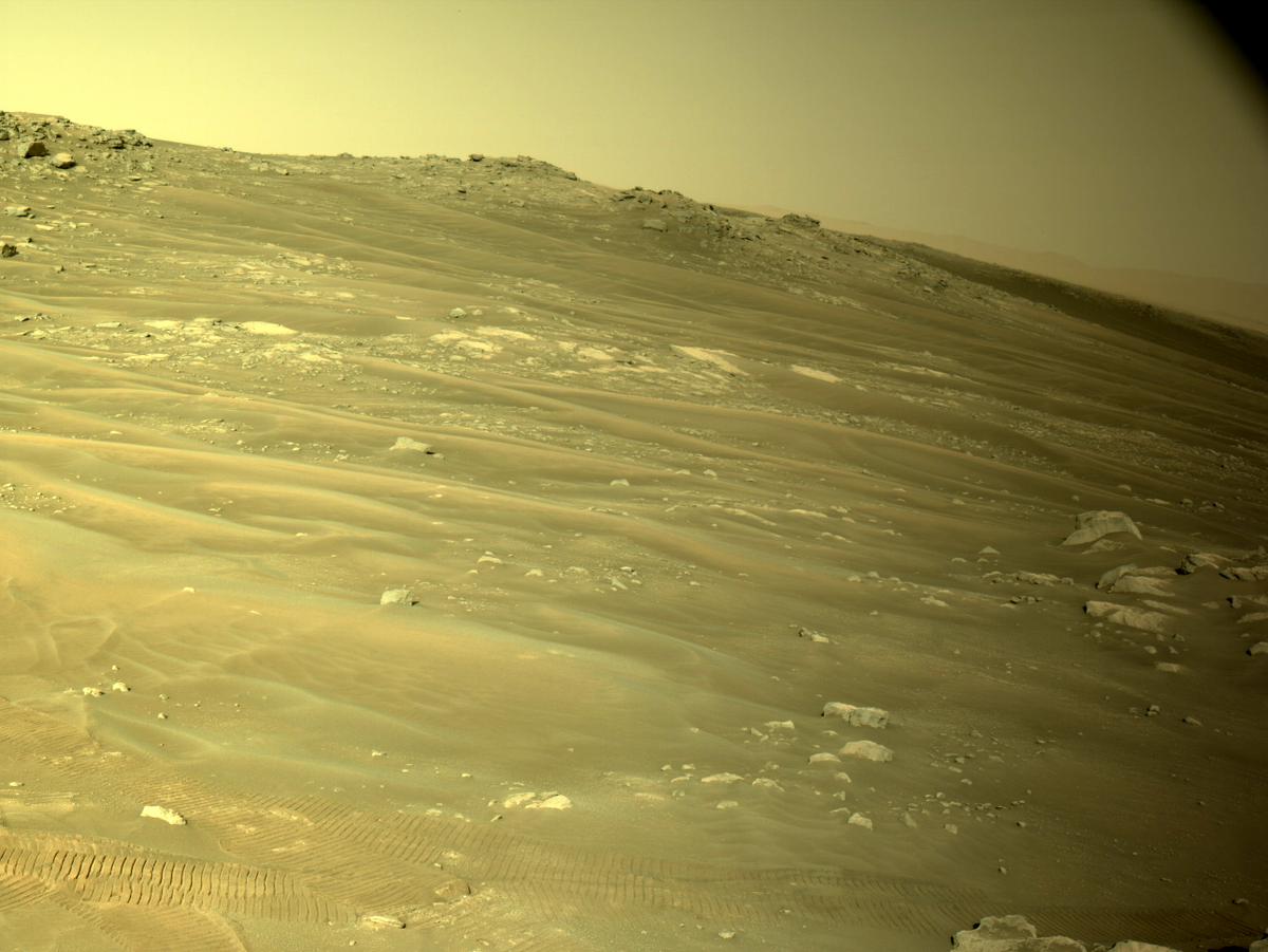 This image was taken by NAVCAM_LEFT onboard NASA's Mars rover Perseverance on Sol 335